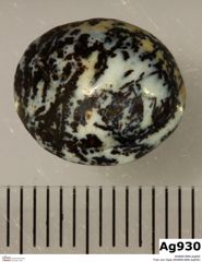 Foto von Opal (NHMW-MIN-Aq930)